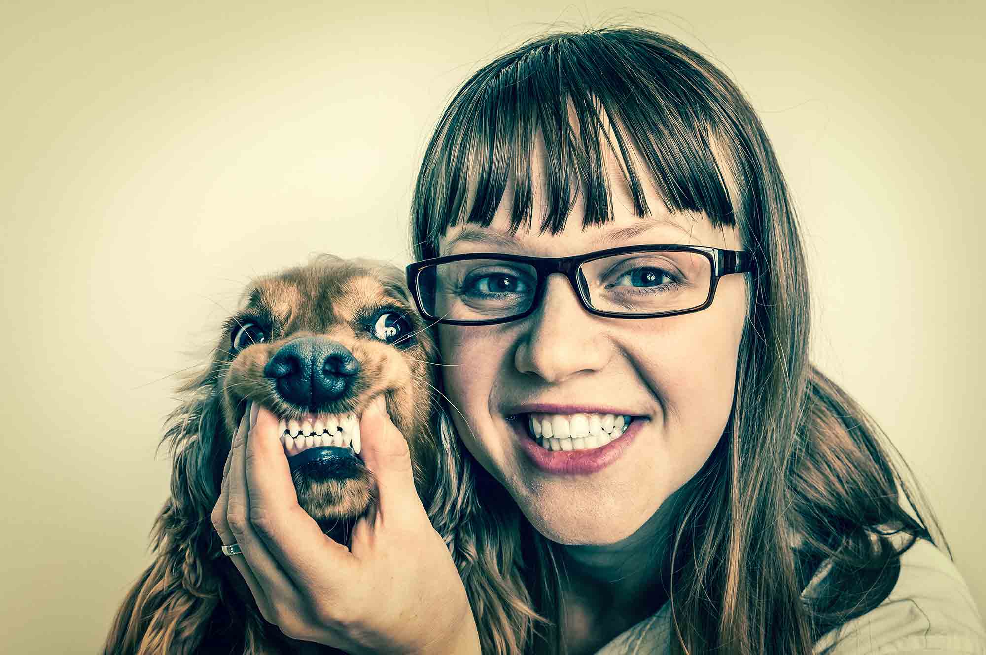 pet dental care