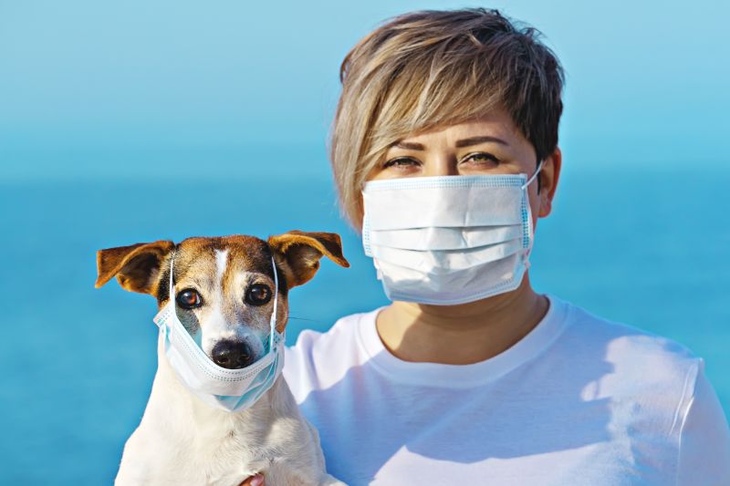 A dog and a human wear masks, demonstrating the importance of protecting against zoonotic diseases.