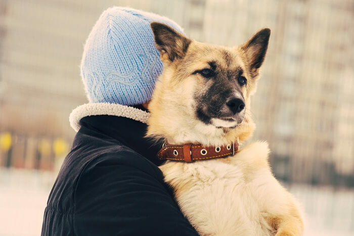 Owner carrying dog